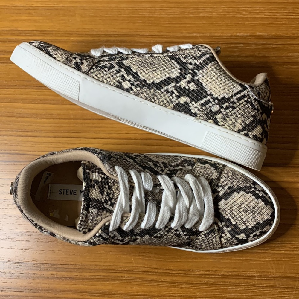 Steve Madden Snake Print sneaker BRAND NEW!